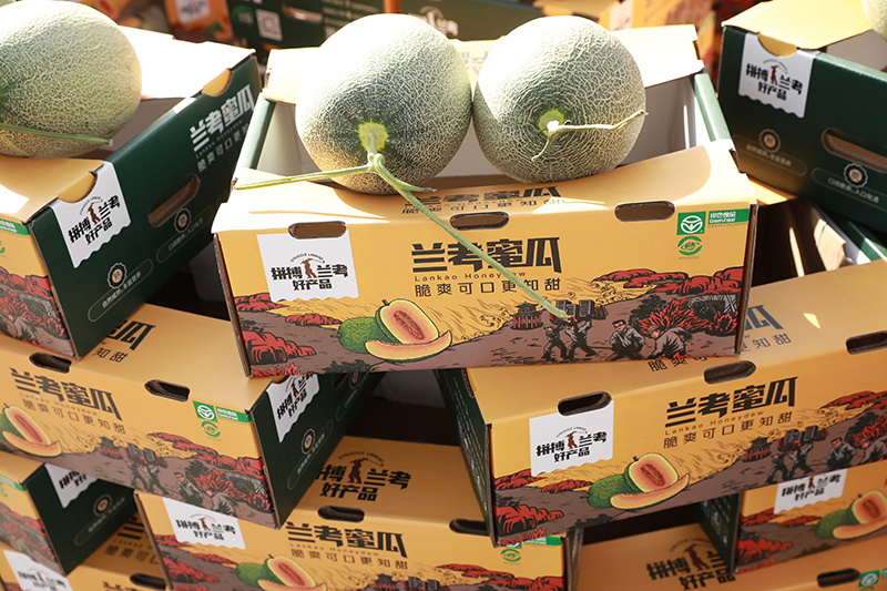 “礼赞丰收·致敬农民”2022中国农民丰收节开封市主会场活动在兰考隆重开幕!